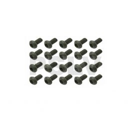 842004 Socket Head Button Screw - Black (M2x4) x20  GAUI X3  